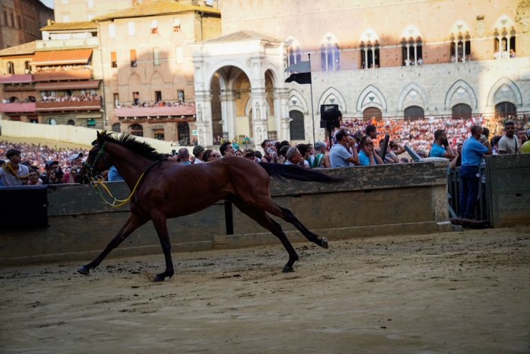 Palio 2 luglio, il Bruco vince la terza prova con lo scosso Donrodrigo