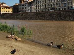 Acqua in Toscana, nessun allarmismo. “Sarà potenziato scolmatore Arno”