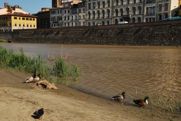 Acqua in Toscana, nessun allarmismo. “Sarà potenziato scolmatore Arno”