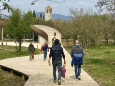 Depaving, Bagno a Ripoli ci crede. Via cemento per fare spazio a alberi e verde. “Vediamo gli atti”