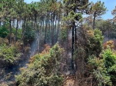 Incendio sul Monte Serra, vigili del fuoco in azione: chiusa la strada provinciale
