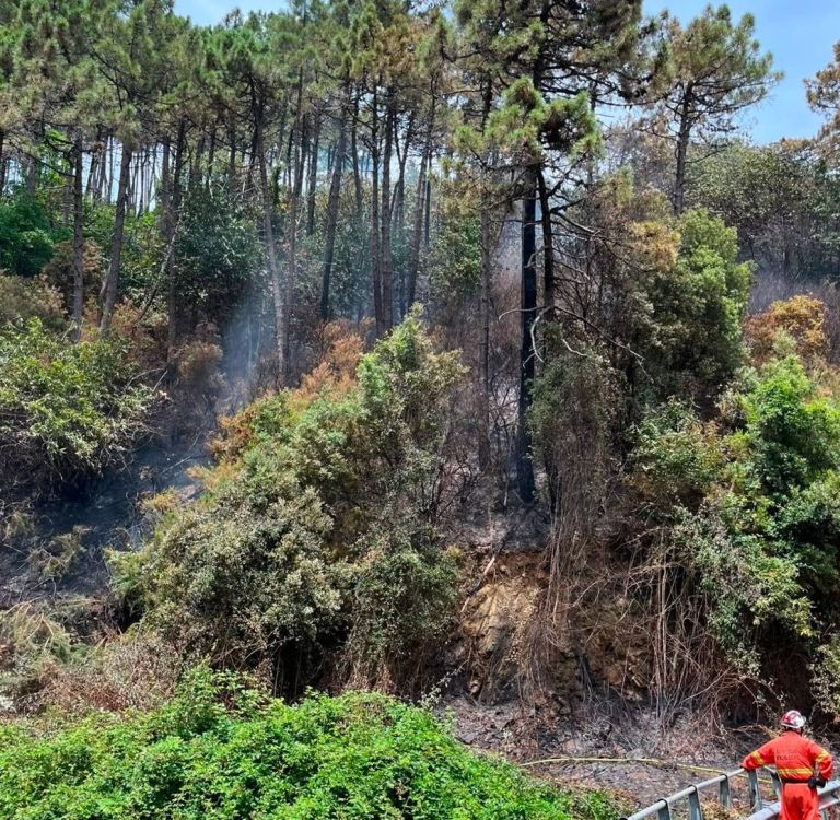 Incendio sul Monte Serra, vigili del fuoco in azione: chiusa la strada provinciale