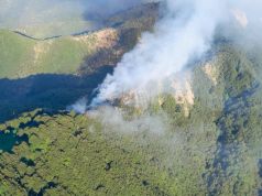 Incendio in Mugello, inviate squadre del sistema antincendi toscano