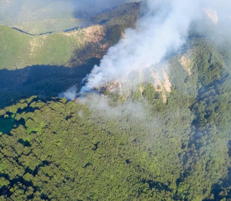 Incendio in Mugello, inviate squadre del sistema antincendi toscano