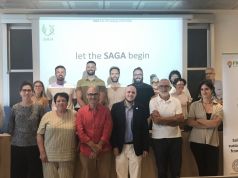 La pianta che sfida sale e siccità: Pisa al centro della ricerca internazionale sulla Salicornia