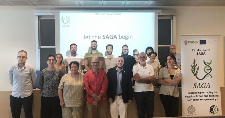La pianta che sfida sale e siccità: Pisa al centro della ricerca internazionale sulla Salicornia
