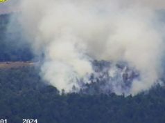 Incendio nel bosco. Attivi due elicotteri e 10 squadre di volontari