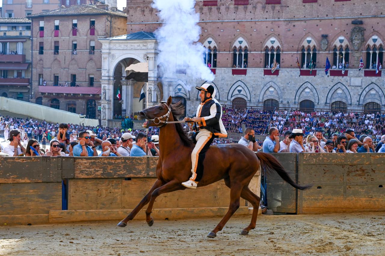 Provaccia Palio 16 agosto 2026 (002)