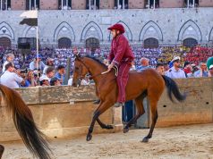 Palio di Siena, la contrada della Torre vince la quarta prova
