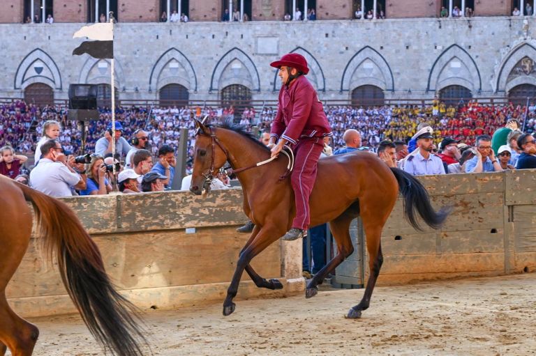 Palio di Siena, la contrada della Torre vince la quarta prova