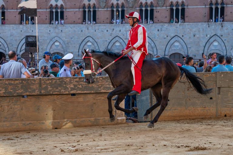 Palio di Siena. La contrada della Giraffa vince la seconda prova