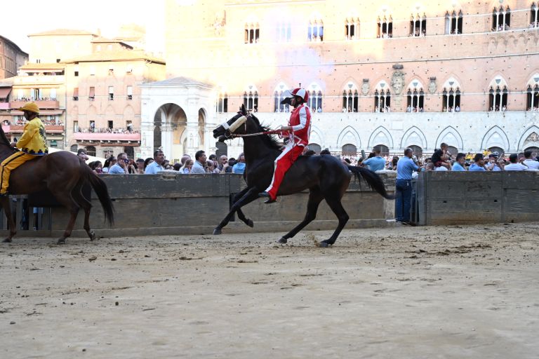 Palio di Siena, la contrada della Giraffa vince la terza prova