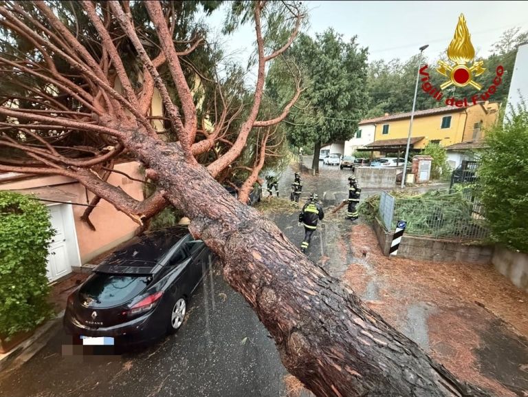 Maltempo in Toscana: notte di lavoro per i Vigili del Fuoco nell’Empolese e in Valdelsa. Danni, alberi abbattuti e un escursionista soccorso
