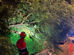 Toscana travolta dal maltempo. Oltre 18mila fulmini, alberi abbattuti e blackout. Atteso un nuovo peggioramento