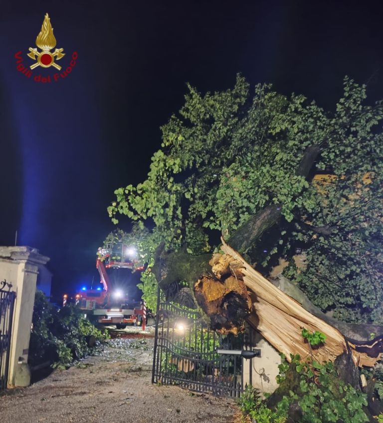 Maltempo: vigili del fuoco, in Toscana oltre 460 interventi da effettuare