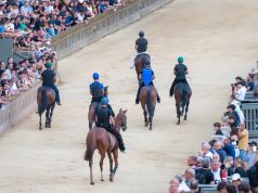 Palio di Siena. I cavalli ammessi alla Tratta