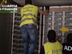 Sequestrati al porto di Livorno 53 chili di cocaina arrivata dal Perù: era nascosta tra la frutta