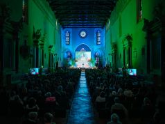 Forme di intelligenza. Al via a Lucca la quinta edizione di Pianeta Terra Festival